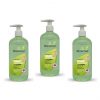 Bionechral Anti Bacterial Hand Sanitizer 500ml with Pump (Pack of 3)